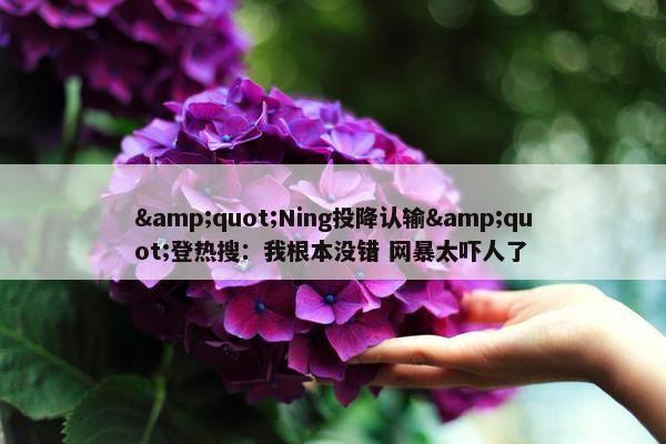 "Ning投降认输"登热搜：我根本没错 网暴太吓人了