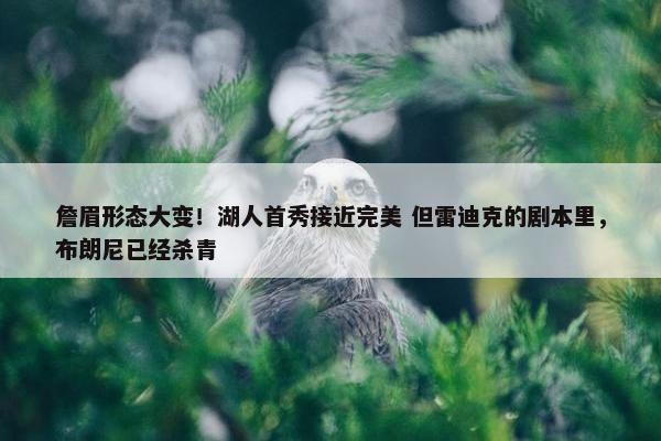 詹眉形态大变！湖人首秀接近完美 但雷迪克的剧本里，布朗尼已经杀青