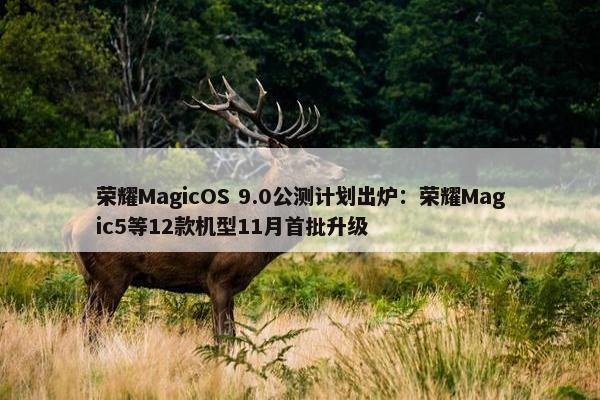 荣耀MagicOS 9.0公测计划出炉：荣耀Magic5等12款机型11月首批升级