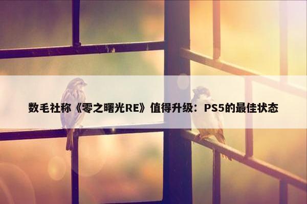 数毛社称《零之曙光RE》值得升级：PS5的最佳状态