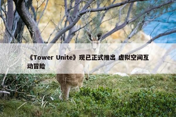 《Tower Unite》现已正式推出 虚拟空间互动冒险