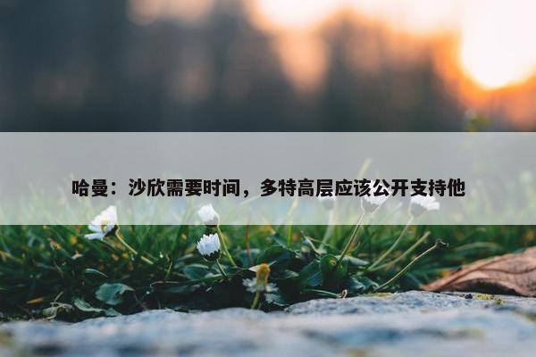 哈曼：沙欣需要时间，多特高层应该公开支持他