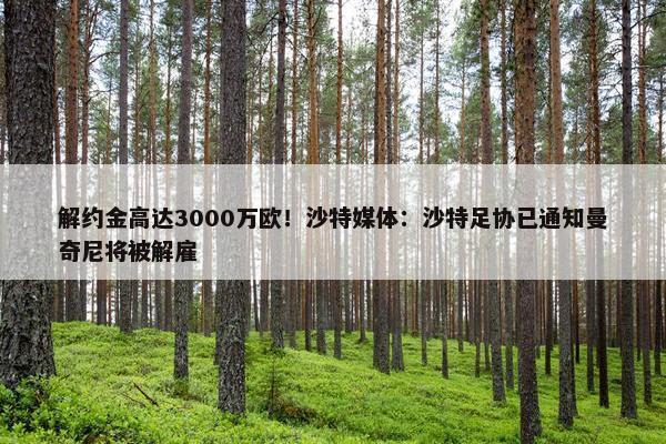 解约金高达3000万欧！沙特媒体：沙特足协已通知曼奇尼将被解雇