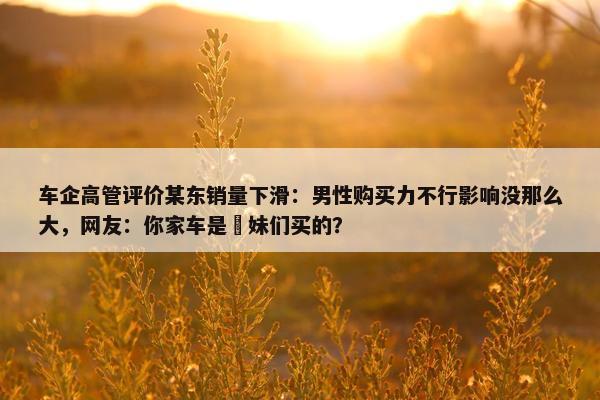 车企高管评价某东销量下滑：男性购买力不行影响没那么大，网友：你家车是媎妹们买的？