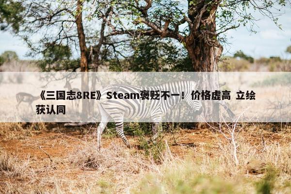 《三国志8RE》Steam褒贬不一！价格虚高 立绘获认同