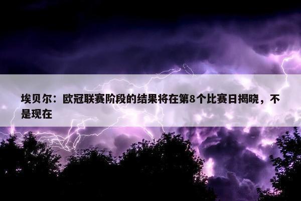 埃贝尔：欧冠联赛阶段的结果将在第8个比赛日揭晓，不是现在