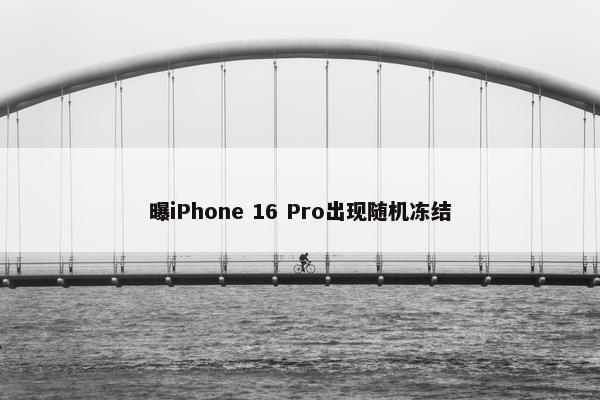 曝iPhone 16 Pro出现随机冻结