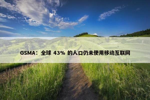 GSMA：全球 43% 的人口仍未使用移动互联网