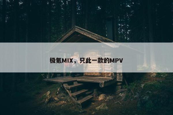 极氪MIX，只此一款的MPV