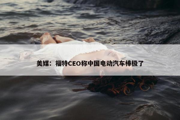 美媒：福特CEO称中国电动汽车棒极了