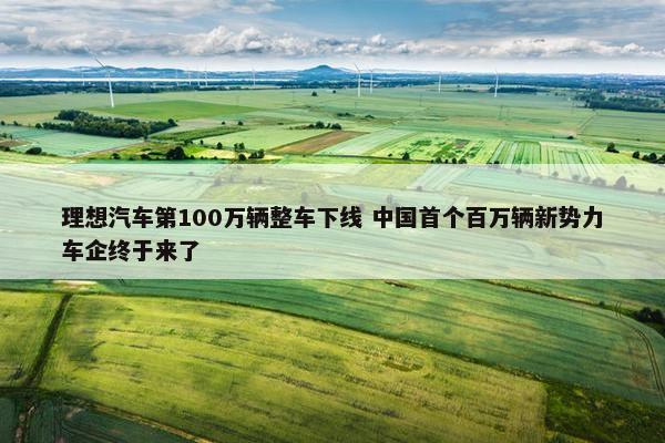 理想汽车第100万辆整车下线 中国首个百万辆新势力车企终于来了