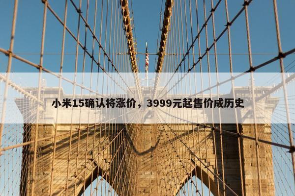 小米15确认将涨价，3999元起售价成历史