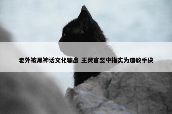 老外被黑神话文化输出 王灵官竖中指实为道教手诀