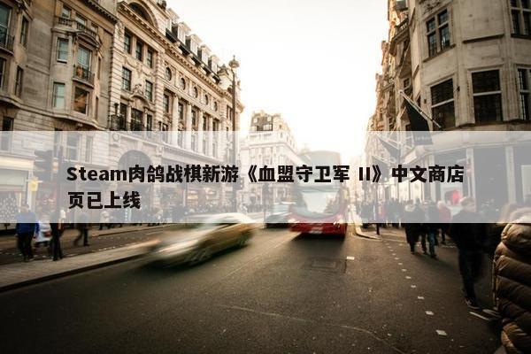 Steam肉鸽战棋新游《血盟守卫军 II》中文商店页已上线