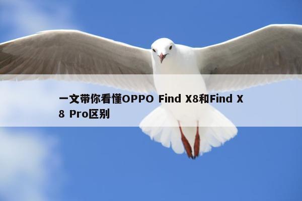 一文带你看懂OPPO Find X8和Find X8 Pro区别