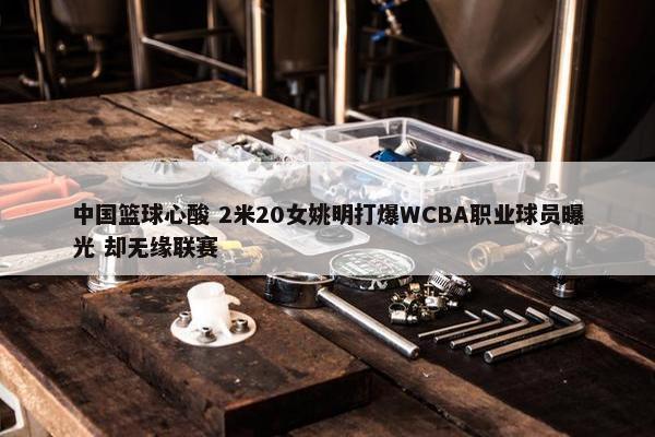 中国篮球心酸 2米20女姚明打爆WCBA职业球员曝光 却无缘联赛