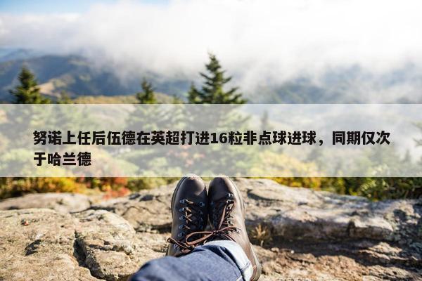 努诺上任后伍德在英超打进16粒非点球进球，同期仅次于哈兰德