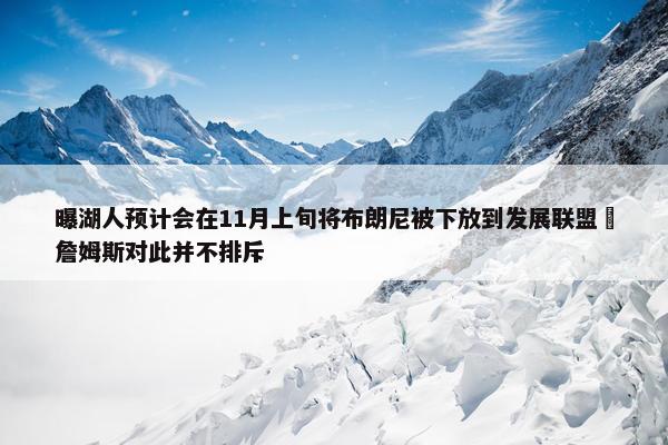 曝湖人预计会在11月上旬将布朗尼被下放到发展联盟 詹姆斯对此并不排斥