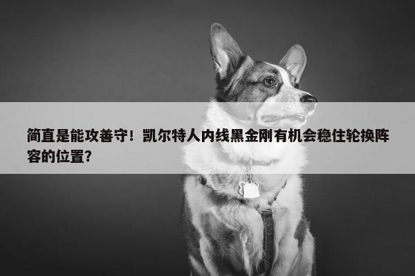 简直是能攻善守！凯尔特人内线黑金刚有机会稳住轮换阵容的位置？