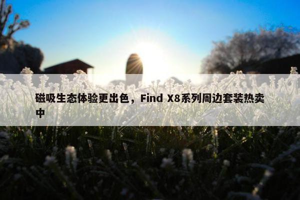 磁吸生态体验更出色，Find X8系列周边套装热卖中