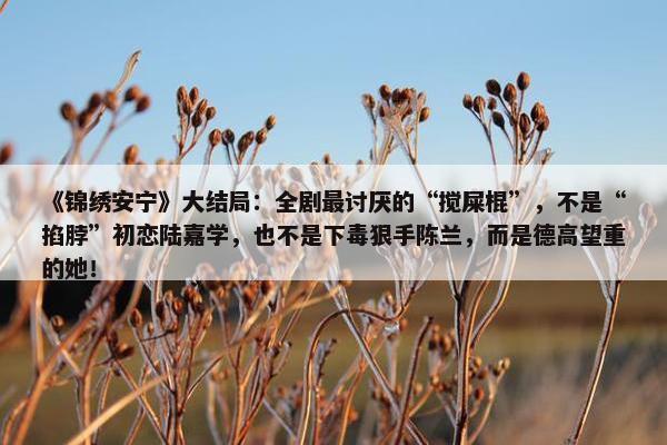 《锦绣安宁》大结局：全剧最讨厌的“搅屎棍”，不是“掐脖”初恋陆嘉学，也不是下毒狠手陈兰，而是德高望重的她！