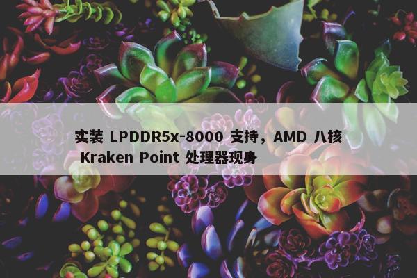 实装 LPDDR5x-8000 支持，AMD 八核 Kraken Point 处理器现身