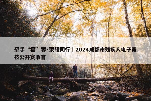 牵手“福”蓉·荣耀同行｜2024成都市残疾人电子竞技公开赛收官