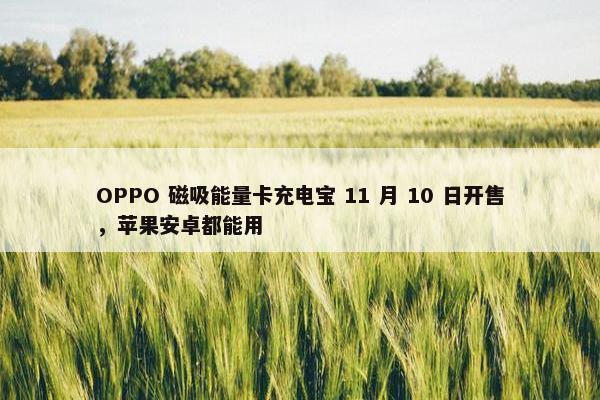 OPPO 磁吸能量卡充电宝 11 月 10 日开售，苹果安卓都能用