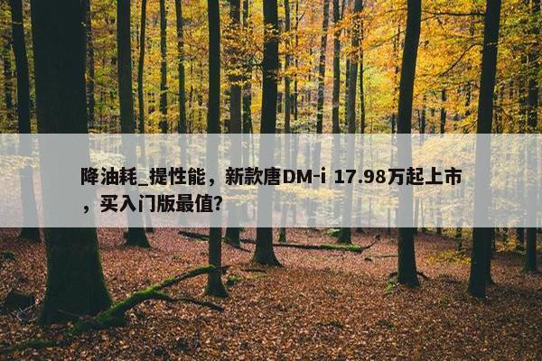 降油耗_提性能，新款唐DM-i 17.98万起上市，买入门版最值？