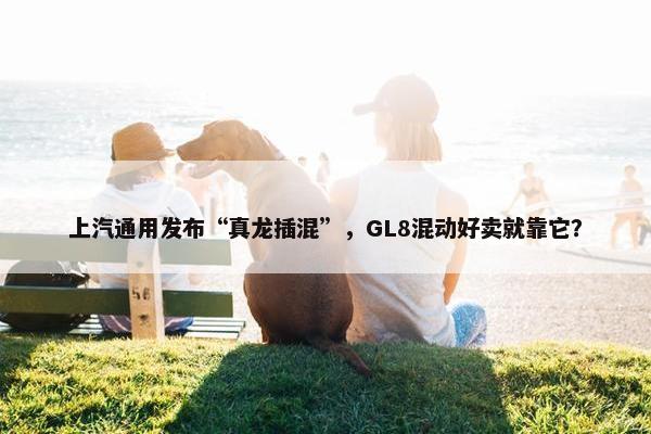 上汽通用发布“真龙插混”，GL8混动好卖就靠它？