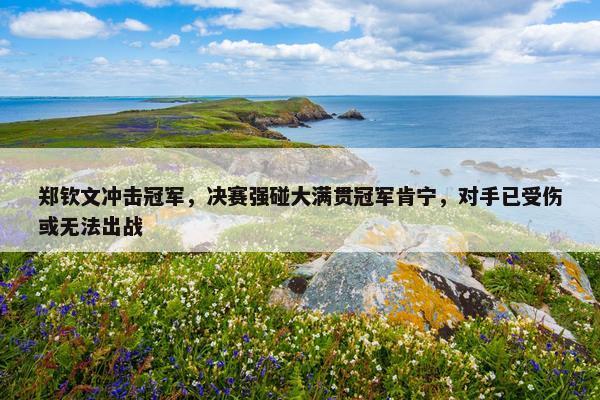 郑钦文冲击冠军，决赛强碰大满贯冠军肯宁，对手已受伤或无法出战