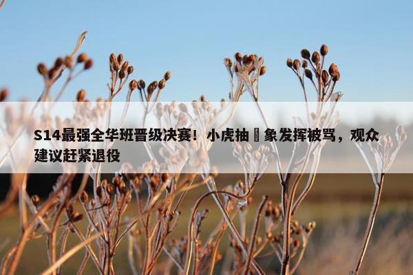 S14最强全华班晋级决赛！小虎抽​象发挥被骂，观众建议赶紧退役