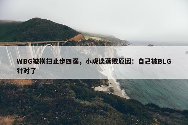 WBG被横扫止步四强，小虎谈落败原因：自己被BLG针对了