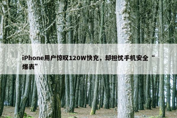 iPhone用户惊叹120W快充，却担忧手机安全“爆表”