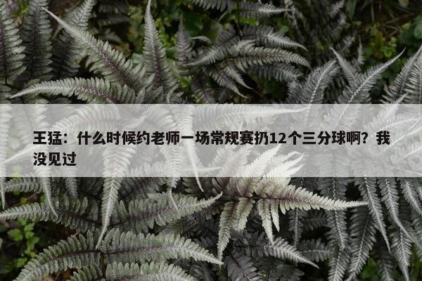 王猛：什么时候约老师一场常规赛扔12个三分球啊？我没见过