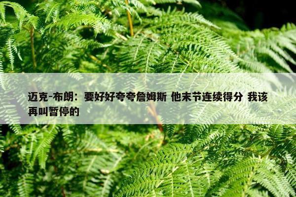 迈克-布朗：要好好夸夸詹姆斯 他末节连续得分 我该再叫暂停的