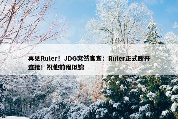 再见Ruler！JDG突然官宣：Ruler正式断开连接！祝他前程似锦