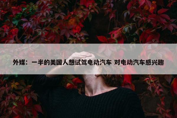 外媒：一半的美国人想试驾电动汽车 对电动汽车感兴趣