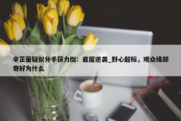 辛芷蕾疑似分手获力挺：底层逆袭_野心超标，观众缘却奇好为什么