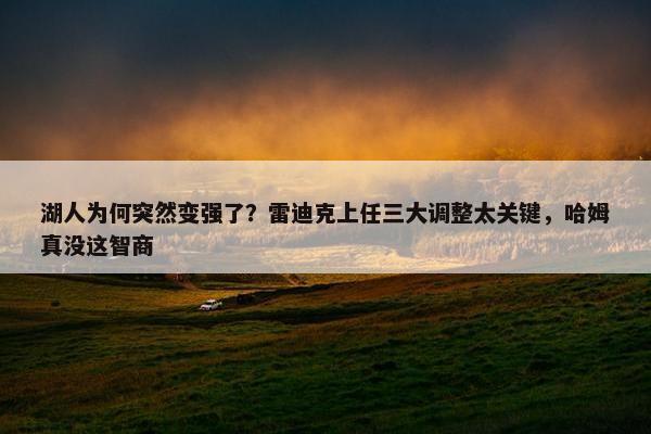 湖人为何突然变强了？雷迪克上任三大调整太关键，哈姆真没这智商