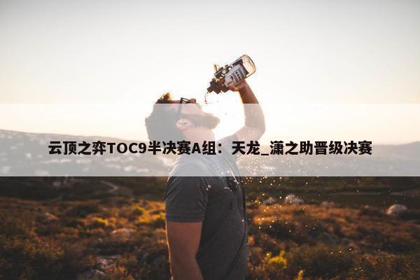 云顶之弈TOC9半决赛A组：天龙_潇之助晋级决赛