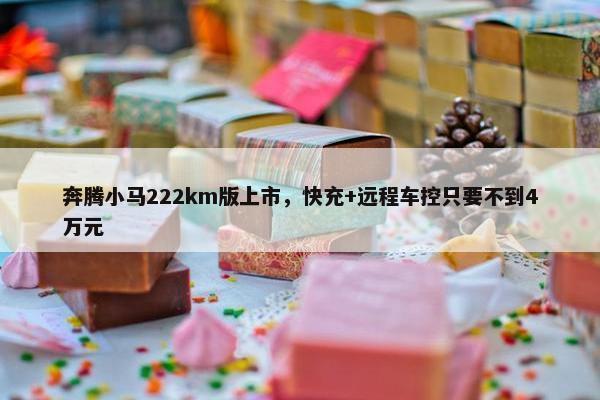 奔腾小马222km版上市，快充+远程车控只要不到4万元