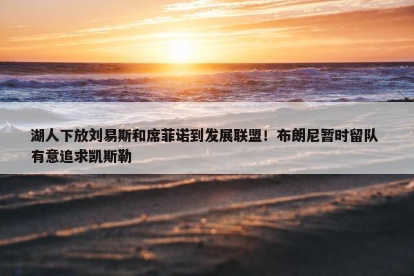 湖人下放刘易斯和席菲诺到发展联盟！布朗尼暂时留队 有意追求凯斯勒