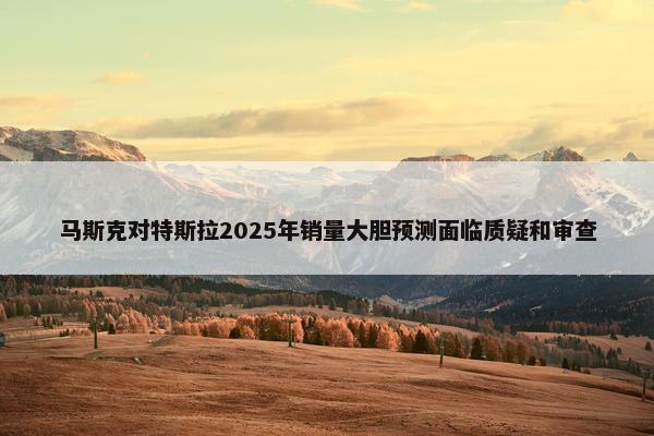 马斯克对特斯拉2025年销量大胆预测面临质疑和审查