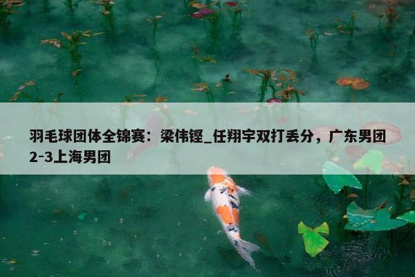 羽毛球团体全锦赛：梁伟铿_任翔宇双打丢分，广东男团2-3上海男团