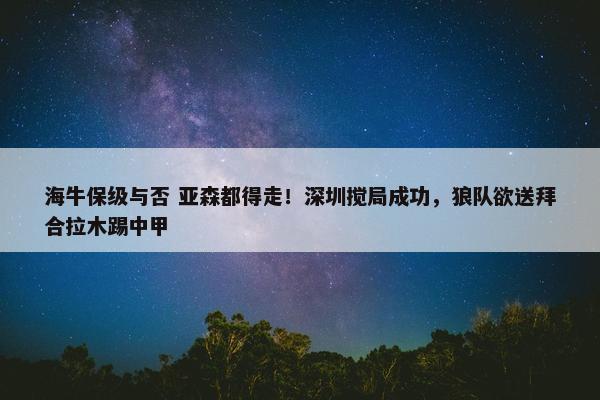 海牛保级与否 亚森都得走！深圳搅局成功，狼队欲送拜合拉木踢中甲