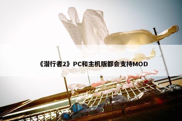 《潜行者2》PC和主机版都会支持MOD