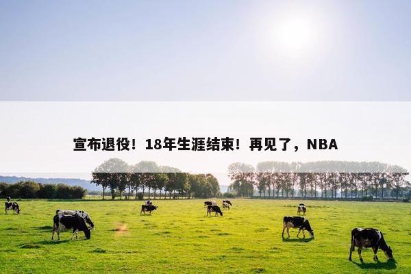 宣布退役！18年生涯结束！再见了，NBA