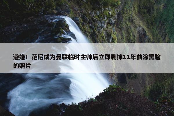 避嫌！范尼成为曼联临时主帅后立即删掉11年前涂黑脸的照片