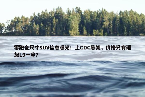 零跑全尺寸SUV信息曝光！上CDC悬架，价格只有理想L9一半？